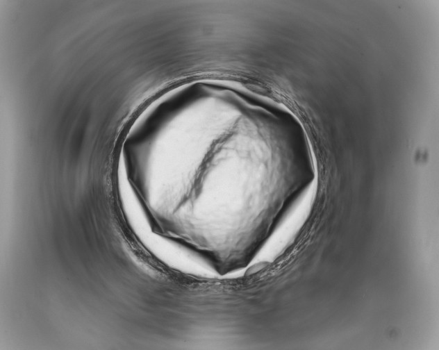 X0000089960050200707271909