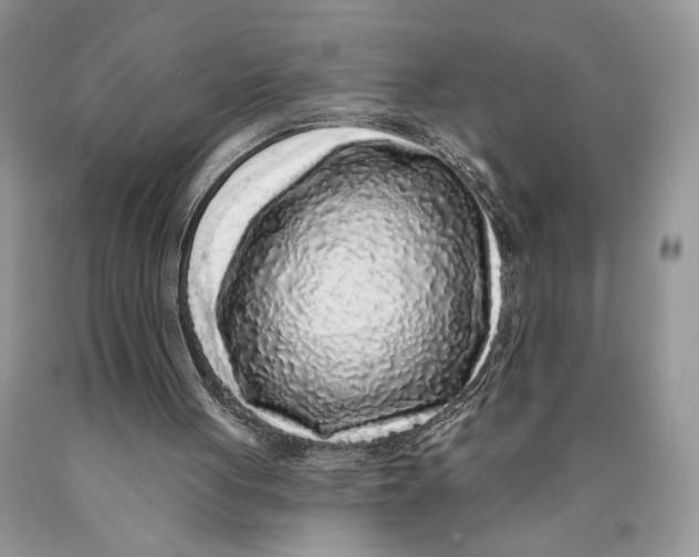 X0000089960051200707271909