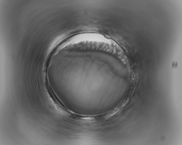 X0000089960053200707271909