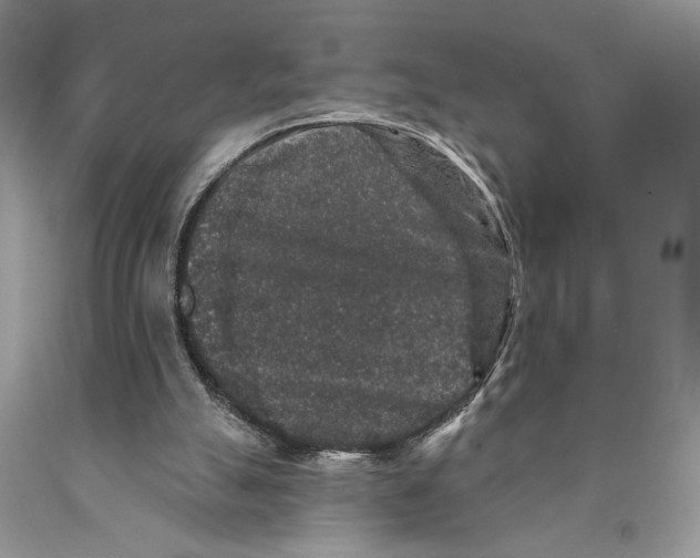 X0000089960055200707271909