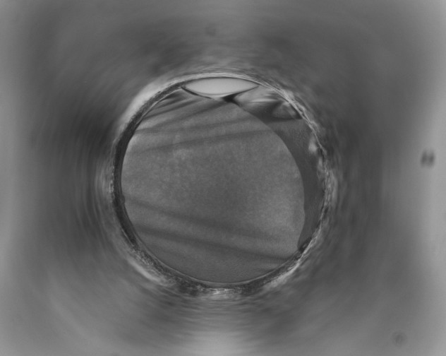 X0000089960056200707271909