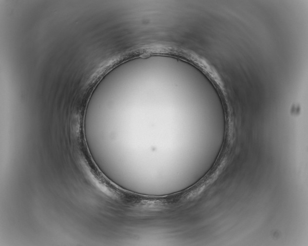 X0000089960057200707271909