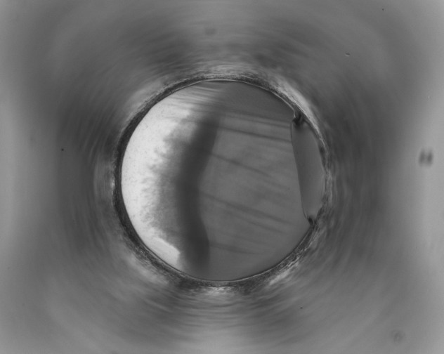 X0000089960059200707271909