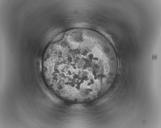 X0000089960061200707271910