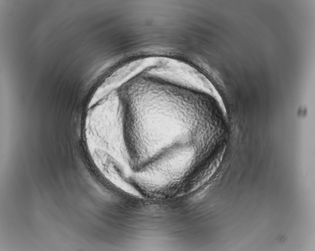 X0000089960062200707271910