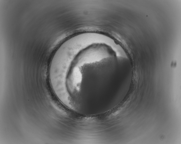 X0000089960063200707271910