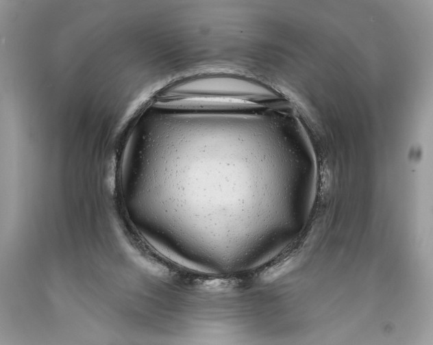 X0000089960064200707271910