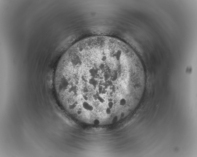 X0000089960065200707271910