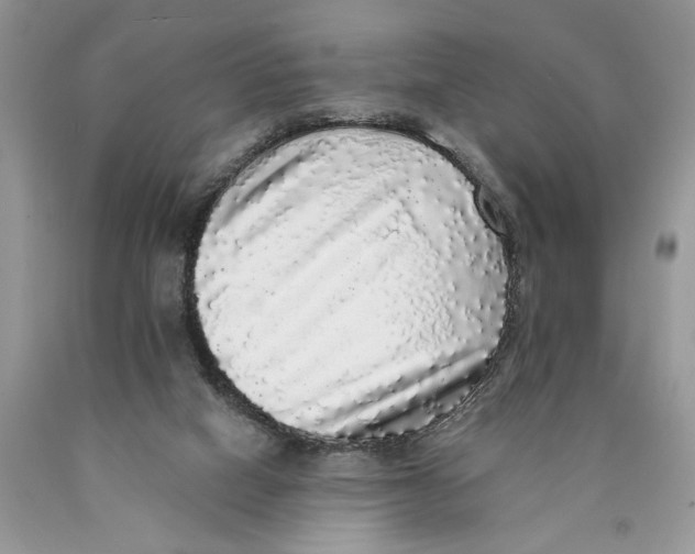 X0000089960066200707271910