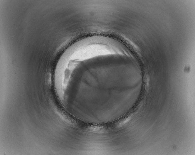 X0000089960067200707271910