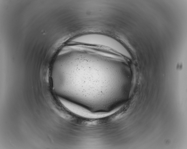 X0000089960068200707271910