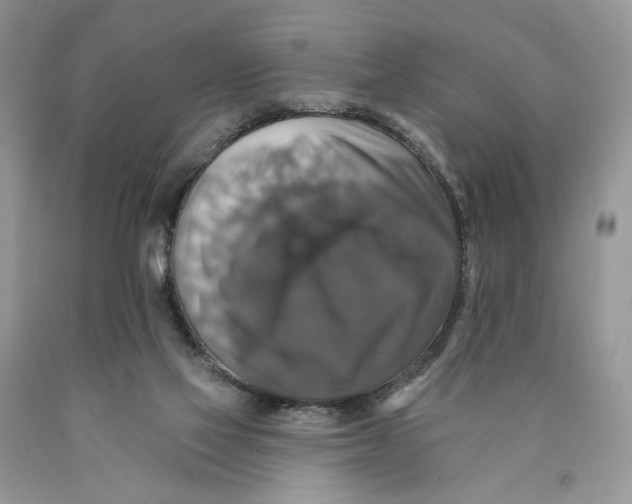 X0000089960069200707271910