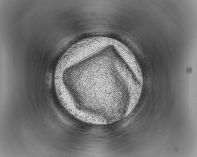 X0000089960070200707271910