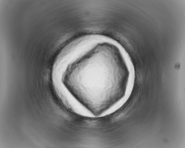 X0000089960071200707271910