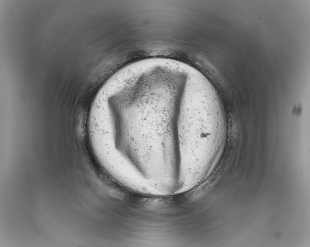 X0000089960074200707271910