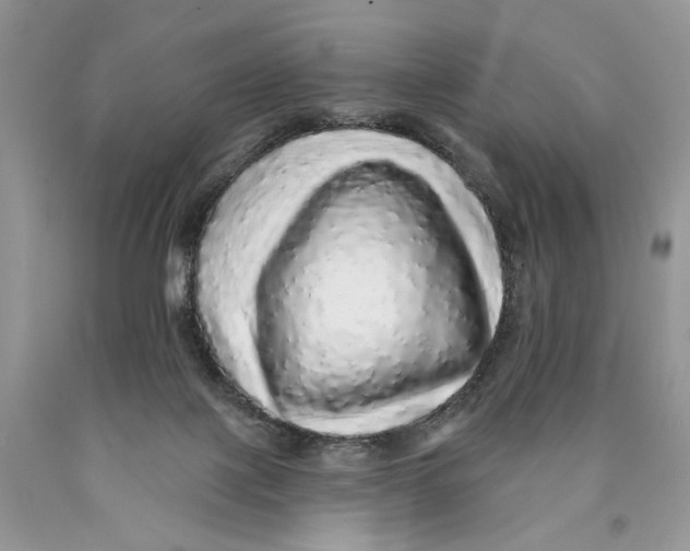 X0000089960075200707271910