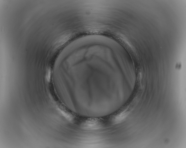 X0000089960076200707271910