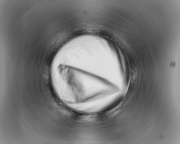 X0000089960078200707271910