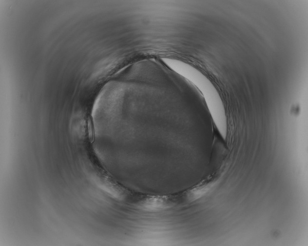 X0000089960080200707271910