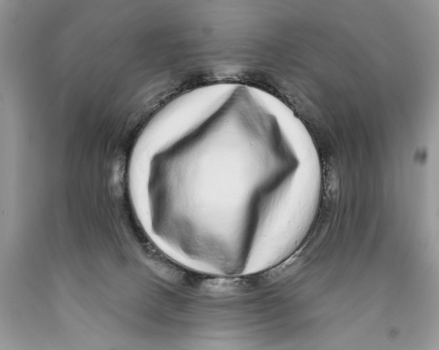 X0000089960082200707271910