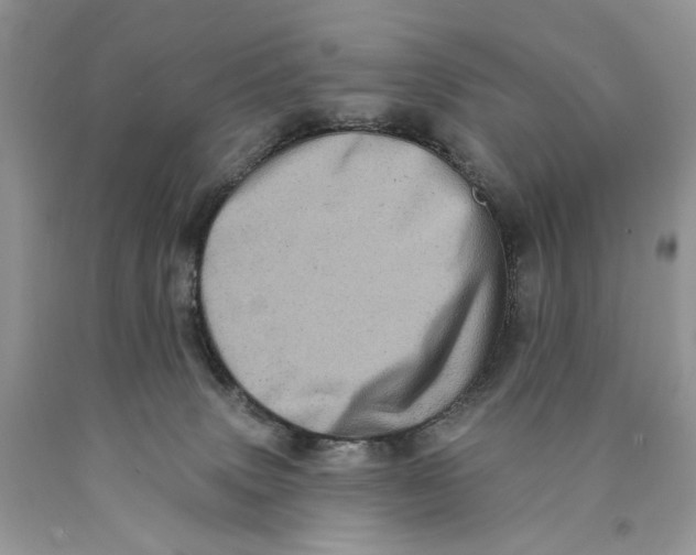 X0000089960083200707271910