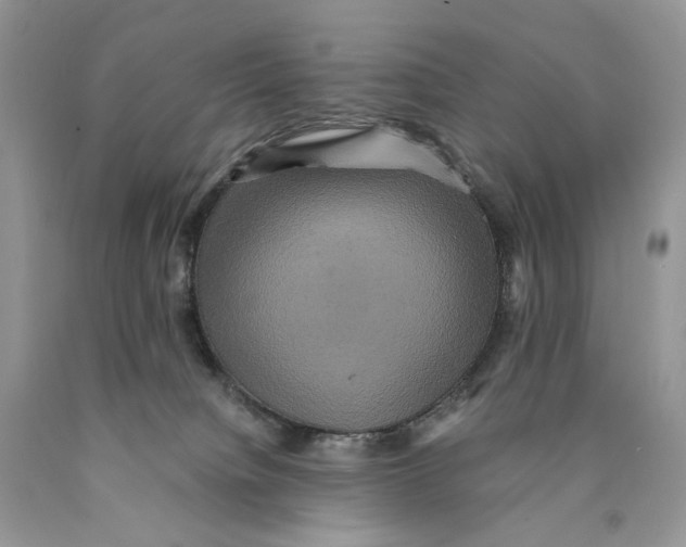 X0000089960084200707271910