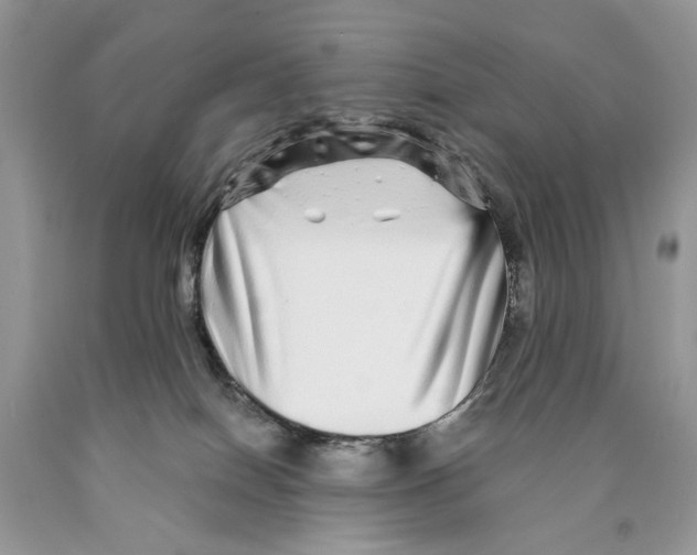 X0000089960086200707271910