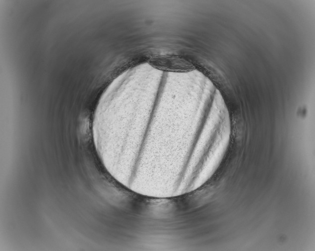 X0000089960087200707271910