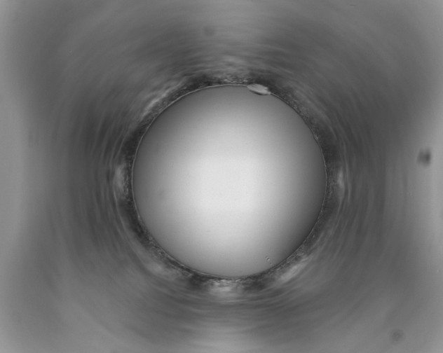 X0000089960088200707271910