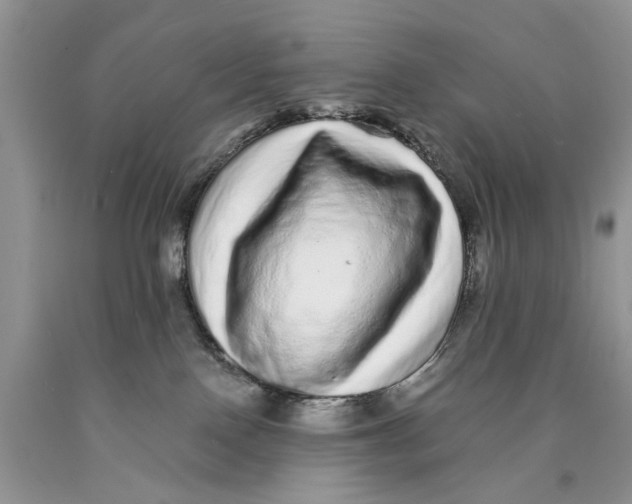 X0000089960090200707271910