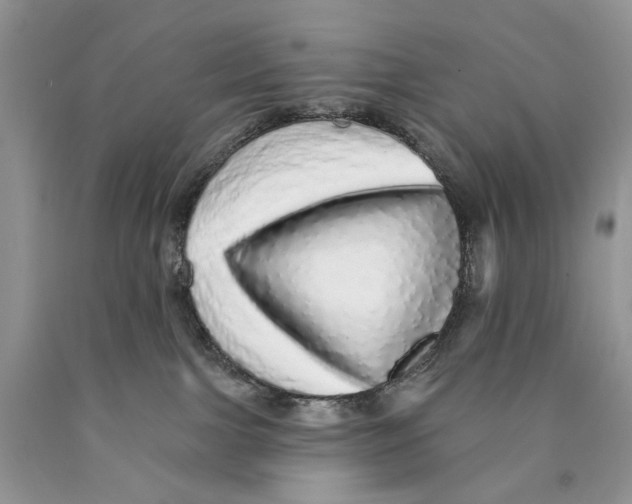 X0000089960091200707271910