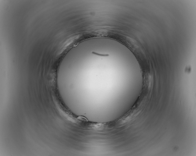 X0000089960092200707271910