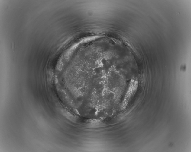 X0000089960093200707271910