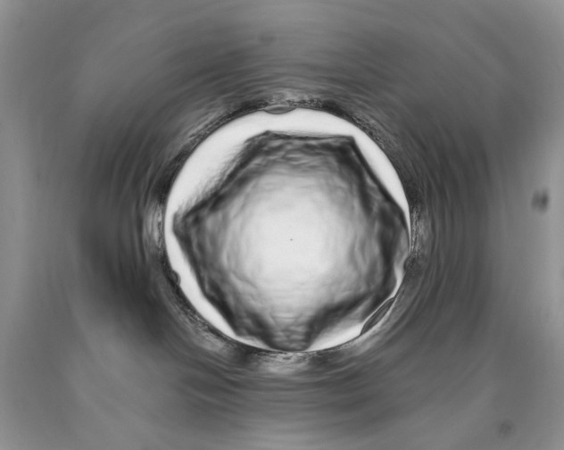 X0000089960094200707271910