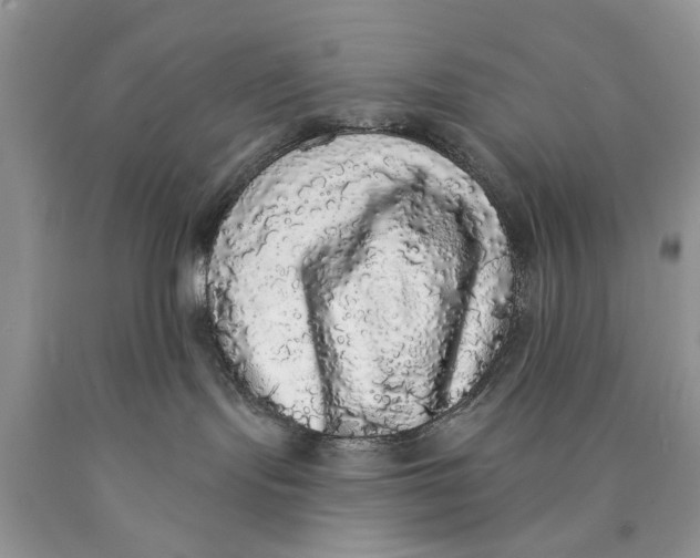 X0000089960095200707271910