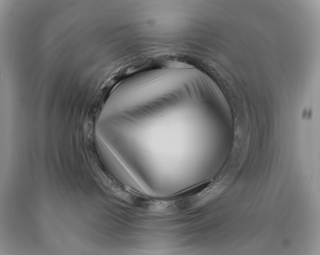 X0000089960096200707271910