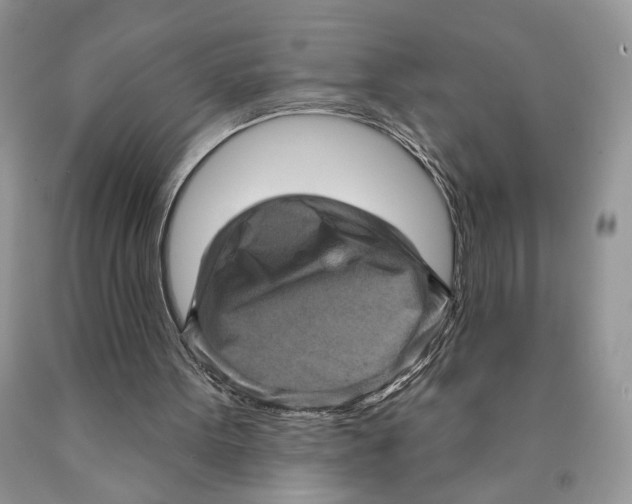 X0000089960099200707271909