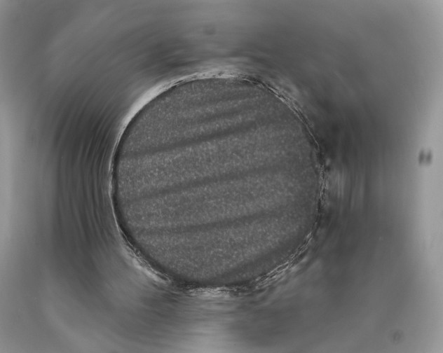 X0000089960100200707271909