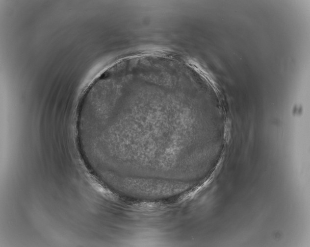 X0000089960101200707271909