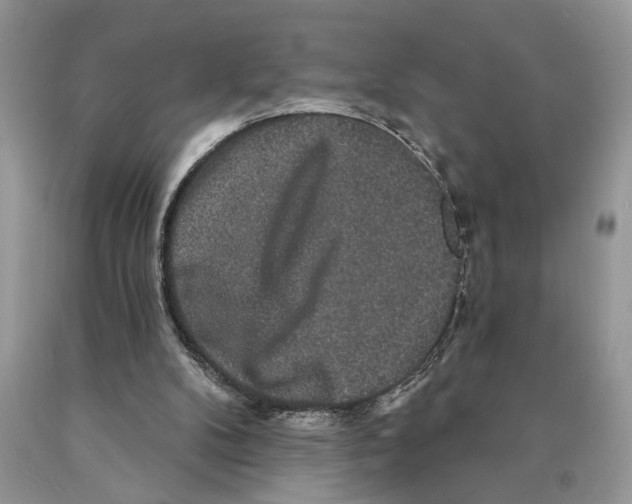 X0000089960104200707271909