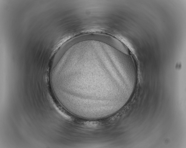 X0000089960105200707271909