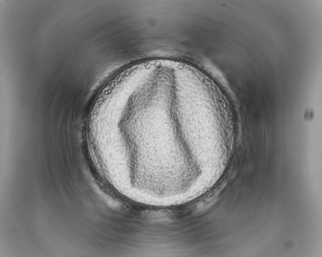 X0000089960106200707271909