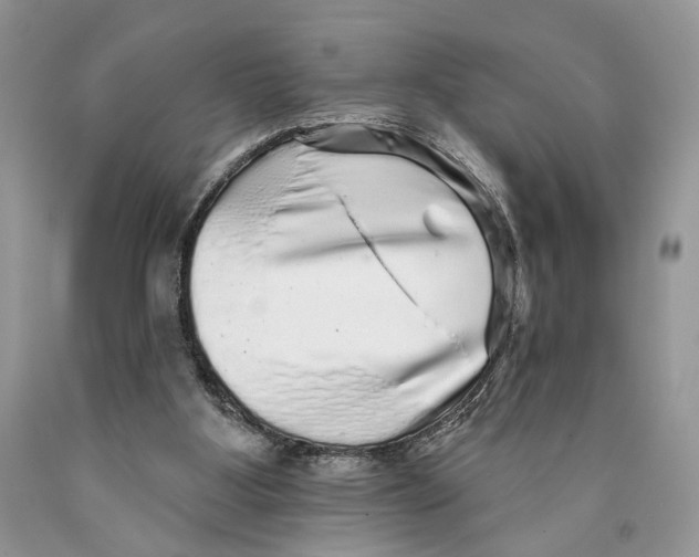 X0000089960107200707271909