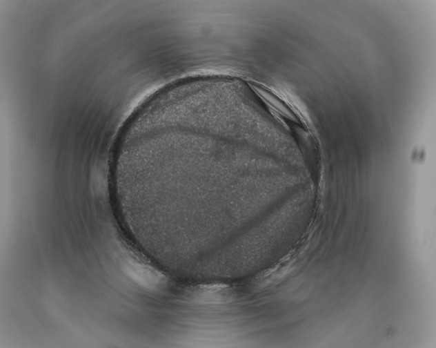 X0000089960108200707271909