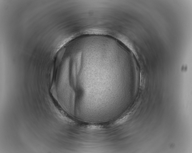 X0000089960109200707271909