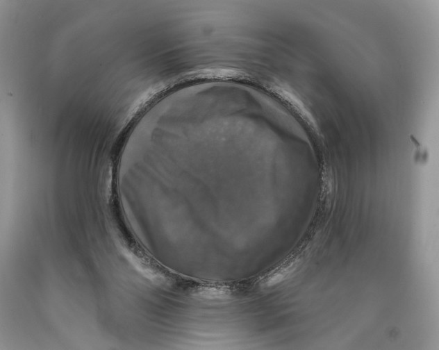 X0000089960110200707271909