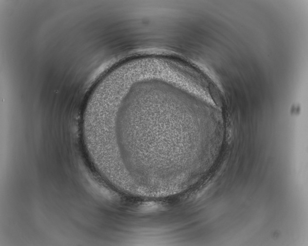 X0000089960111200707271909