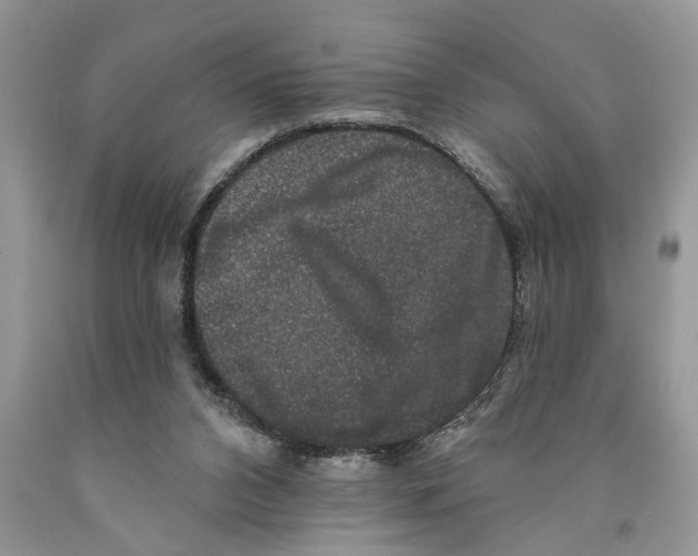 X0000089960112200707271909