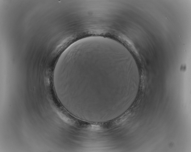 X0000089960114200707271909