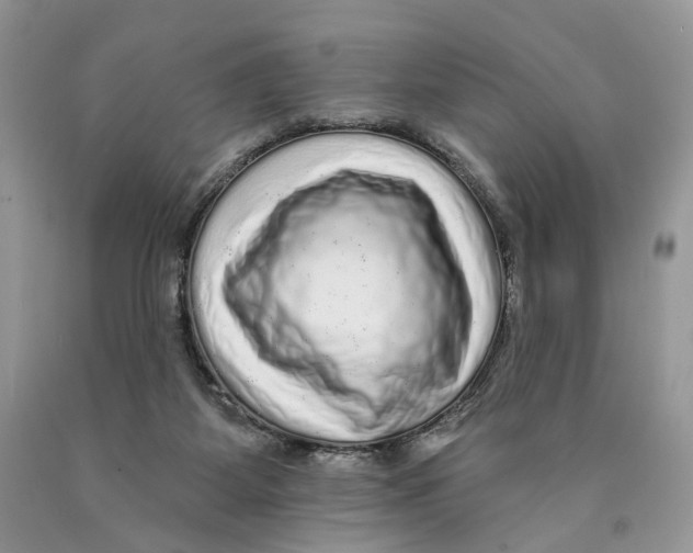 X0000089960115200707271909